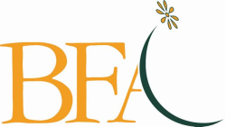 BFA_small