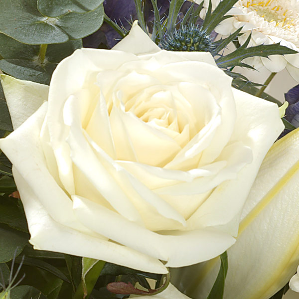Birthday flowers