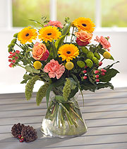 Autumn Flowers