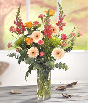 Autumn Flowers