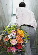 Flowers to say sorry