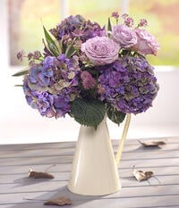 Purple hydrangeas