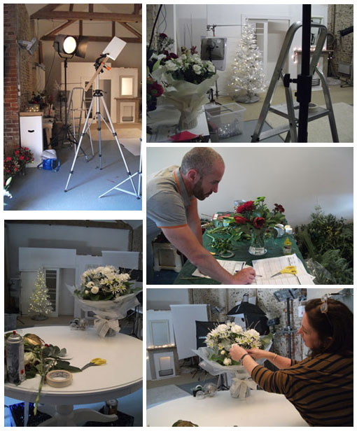 Christmas flower photoshoot