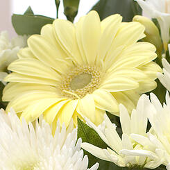 Birthday flowers