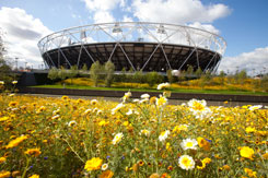 2012 Olympic flowers