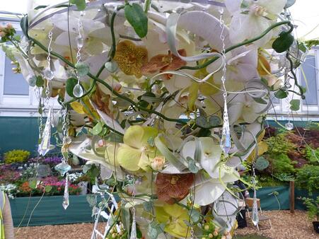 Swarovski crystals and Orchids
