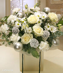 Christmas Flowers