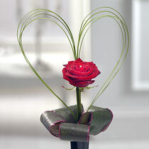 My Heart - single red rose