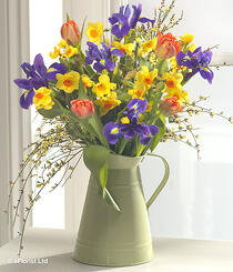 Good Morning - Spring flowers inc Tulips