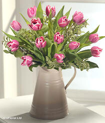 Pretty Petals - Tulips