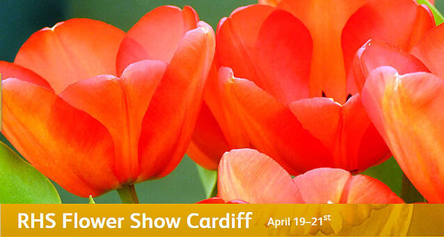 rhs-cardiff1