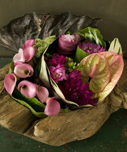nid de callas
