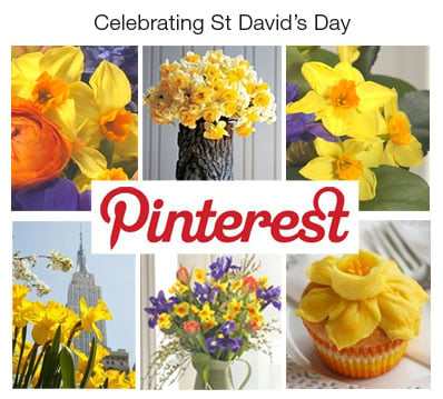 Celebrating St David's Day on Pinterest