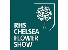 chelsea flower show