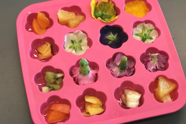 DIY_recipe_icecube_flowers_2blogsize.jpg