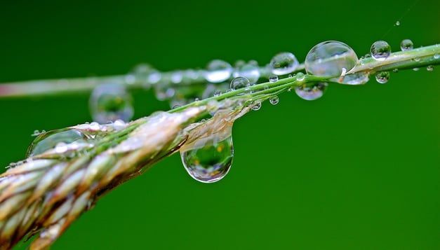 raindrop-1587994_960_720.jpg